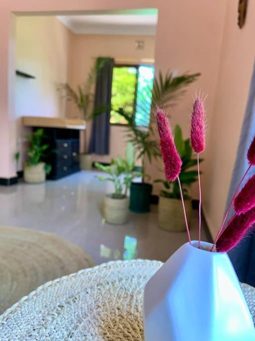 Bungalow X Garten & Terrasse X Wlan X Europaeisch Moshi Dış mekan fotoğraf