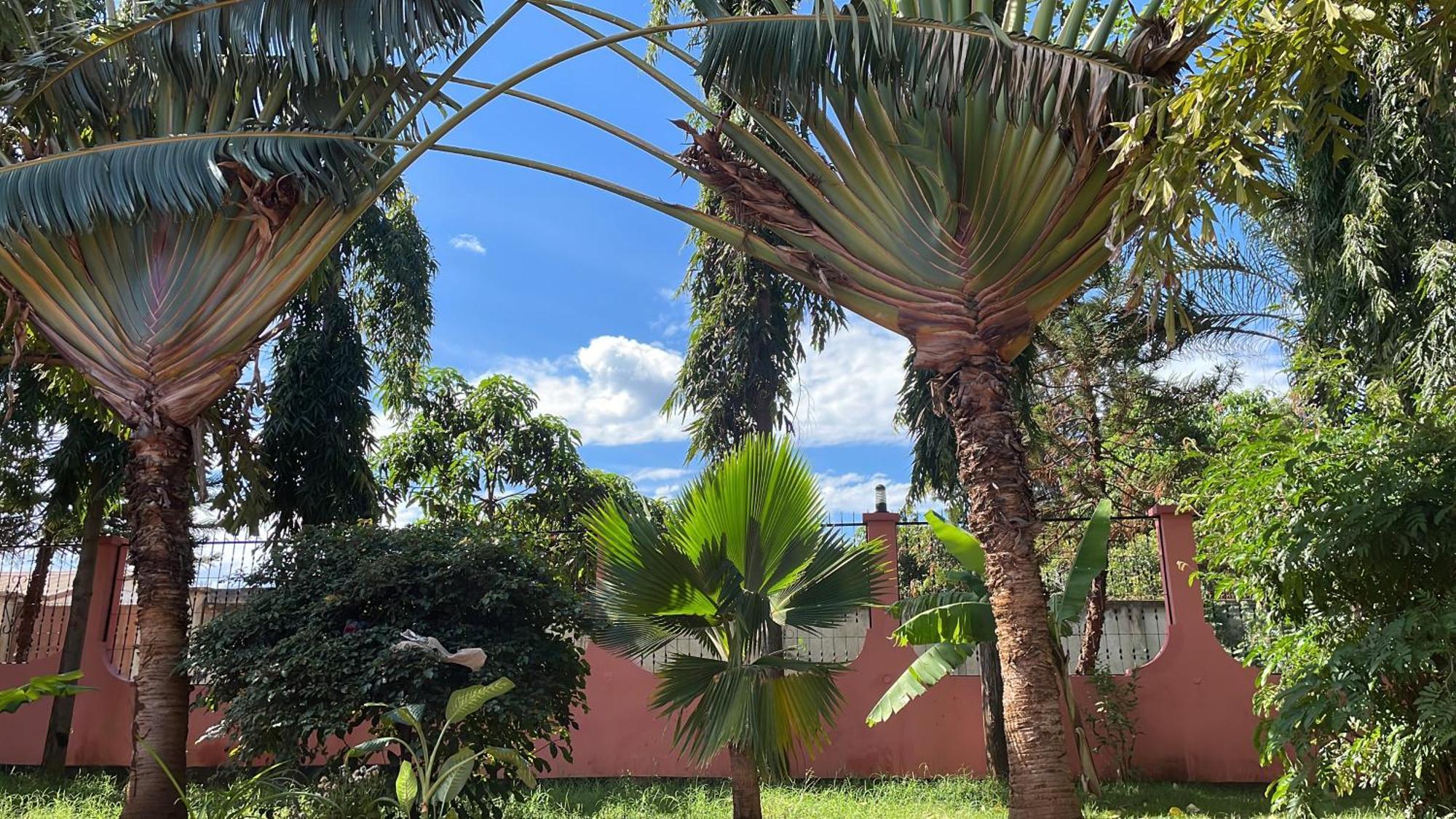 Bungalow X Garten & Terrasse X Wlan X Europaeisch Moshi Dış mekan fotoğraf